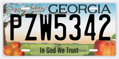 GA license plate PZW5342