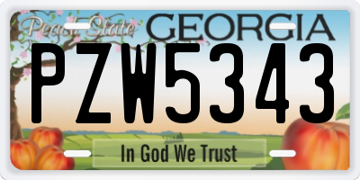 GA license plate PZW5343
