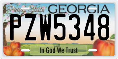 GA license plate PZW5348