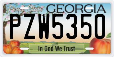 GA license plate PZW5350