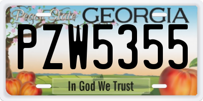 GA license plate PZW5355