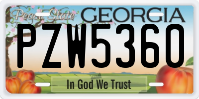 GA license plate PZW5360