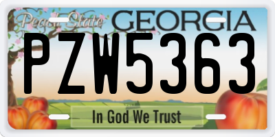 GA license plate PZW5363