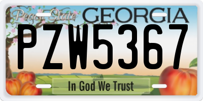 GA license plate PZW5367
