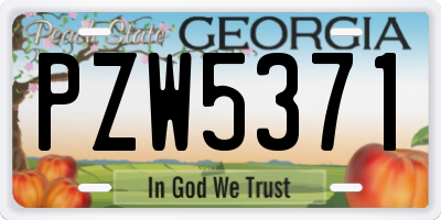 GA license plate PZW5371