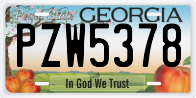 GA license plate PZW5378