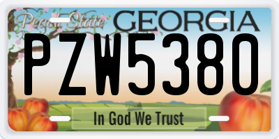GA license plate PZW5380