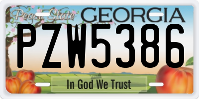 GA license plate PZW5386