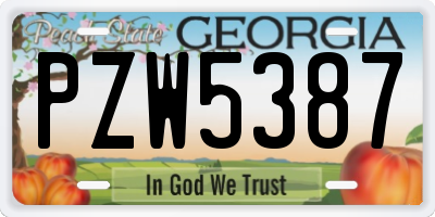GA license plate PZW5387