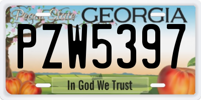 GA license plate PZW5397