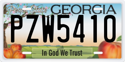 GA license plate PZW5410