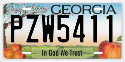 GA license plate PZW5411