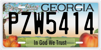 GA license plate PZW5414