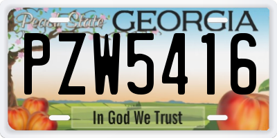 GA license plate PZW5416