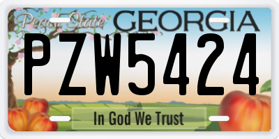 GA license plate PZW5424