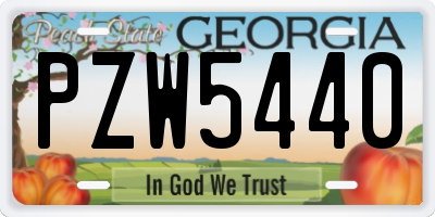 GA license plate PZW5440