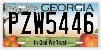 GA license plate PZW5446