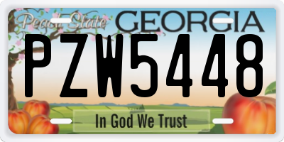 GA license plate PZW5448