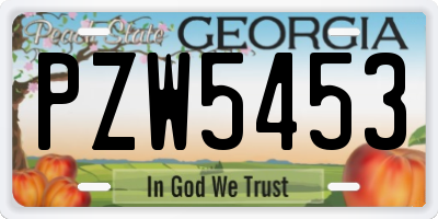 GA license plate PZW5453