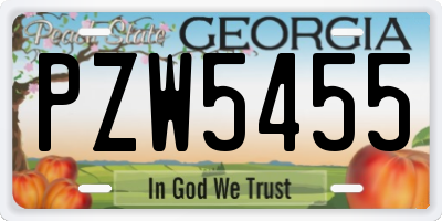 GA license plate PZW5455