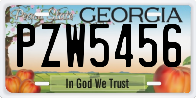 GA license plate PZW5456
