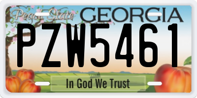 GA license plate PZW5461