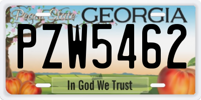 GA license plate PZW5462
