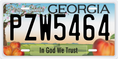 GA license plate PZW5464