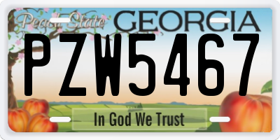 GA license plate PZW5467