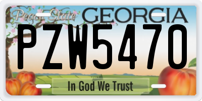 GA license plate PZW5470