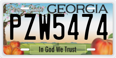 GA license plate PZW5474