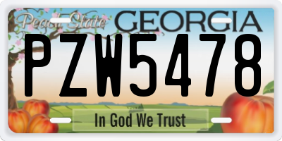 GA license plate PZW5478
