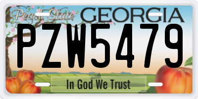 GA license plate PZW5479