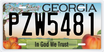 GA license plate PZW5481