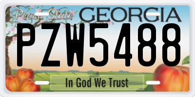 GA license plate PZW5488