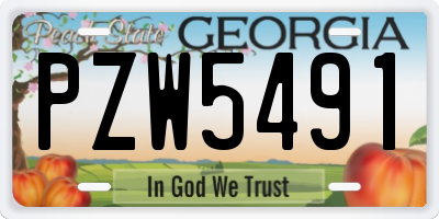 GA license plate PZW5491