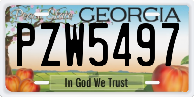 GA license plate PZW5497