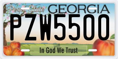 GA license plate PZW5500