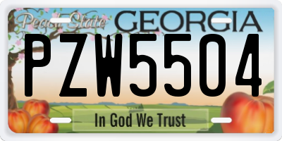 GA license plate PZW5504