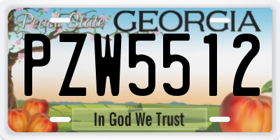 GA license plate PZW5512