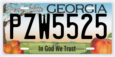 GA license plate PZW5525