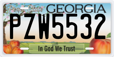 GA license plate PZW5532