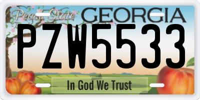 GA license plate PZW5533