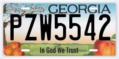 GA license plate PZW5542
