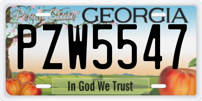 GA license plate PZW5547
