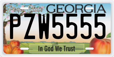 GA license plate PZW5555