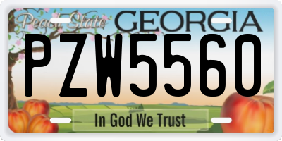 GA license plate PZW5560
