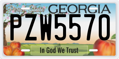 GA license plate PZW5570