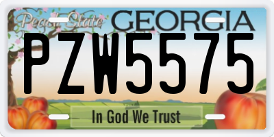 GA license plate PZW5575