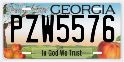 GA license plate PZW5576